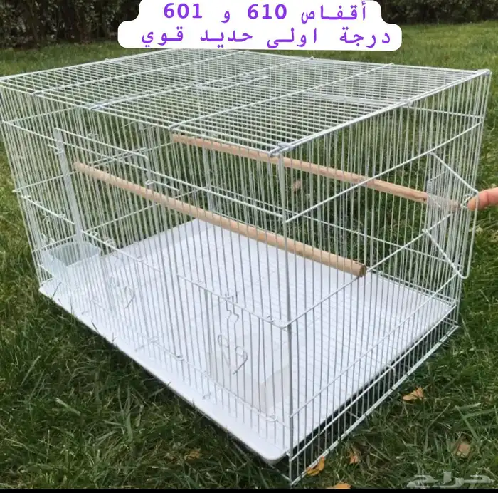 اقفاص 601 جمله 0