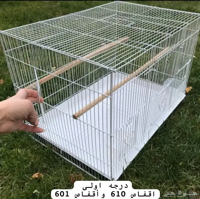 اقفاص 601 جمله 1