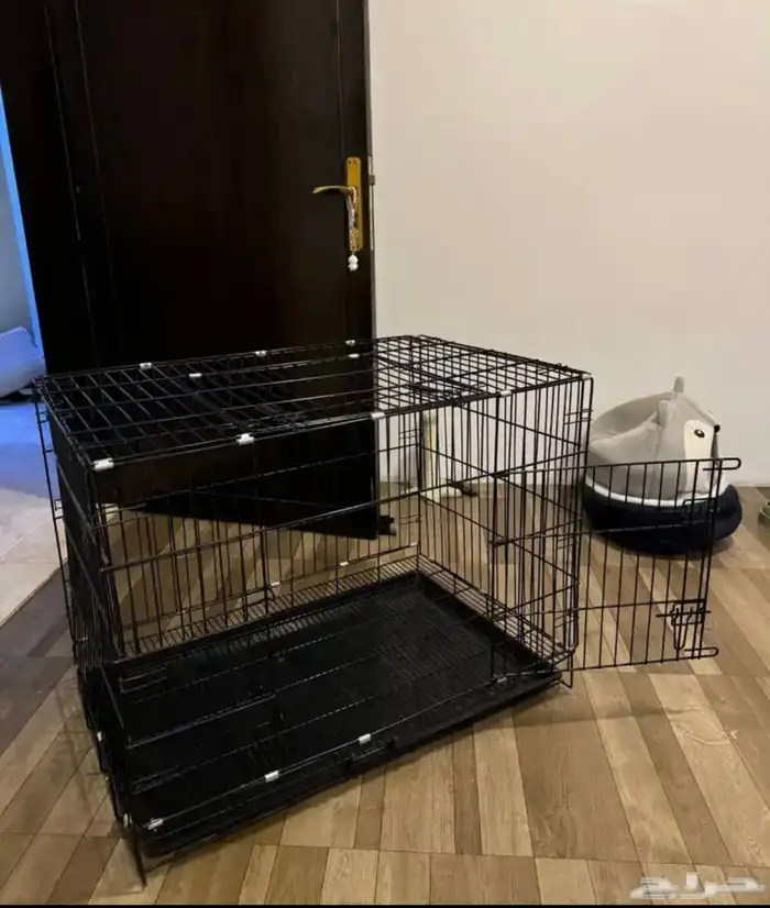 اغراض للقطط 0