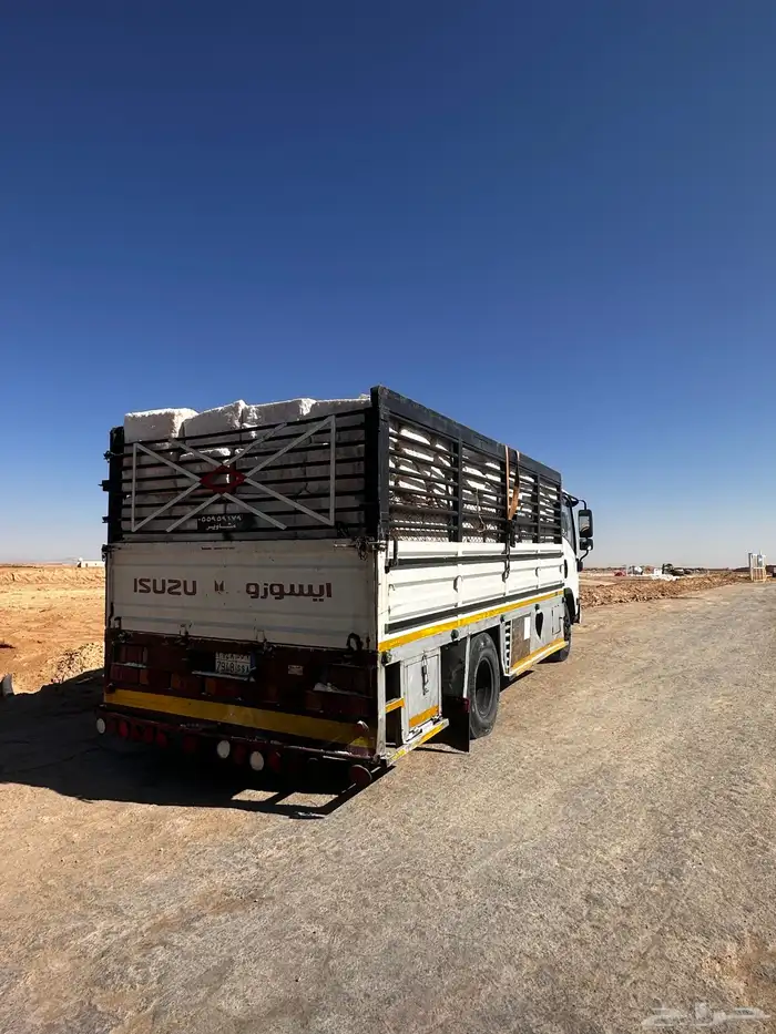 ملح حجر للمواشي ( بالجمله فقط ) 0