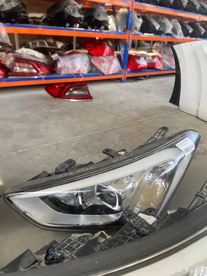 انوار سنتافي 2013-2014-2015-2016 4