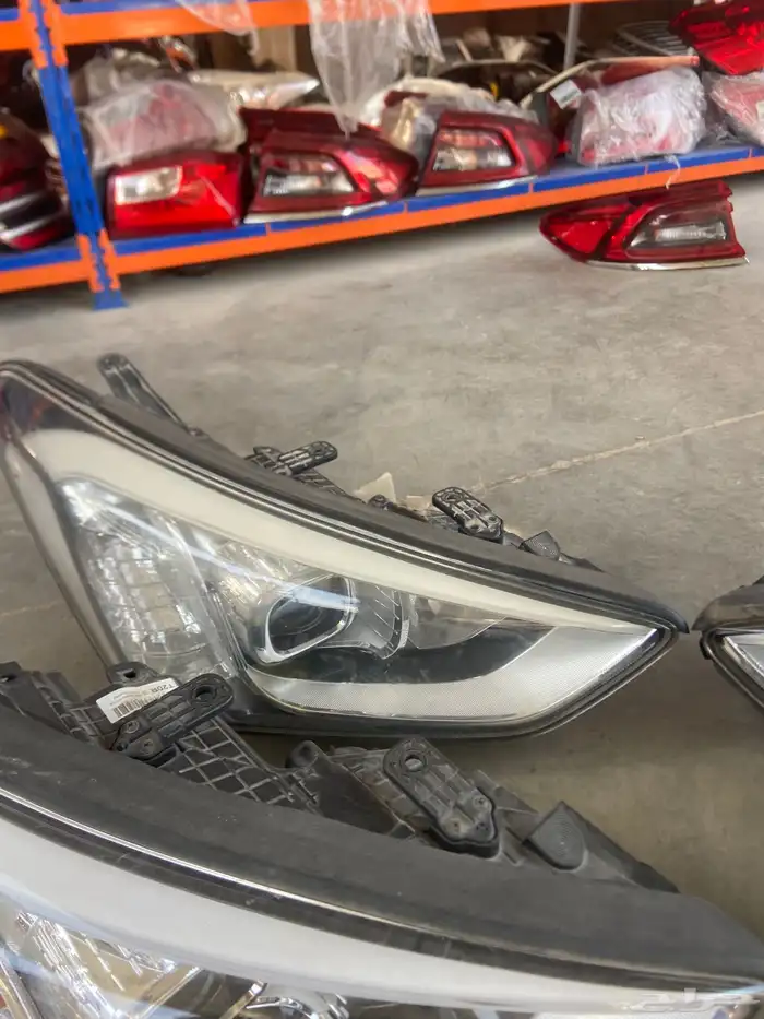 انوار سنتافي 2013-2014-2015-2016 5