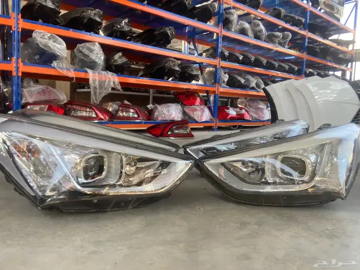 انوار سنتافي 2013-2014-2015-2016 6