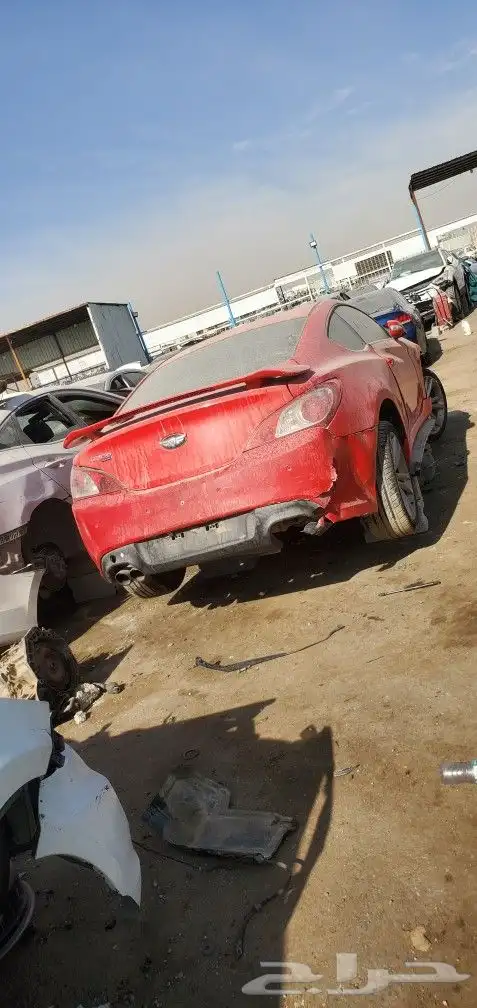 كوبي 2013 0