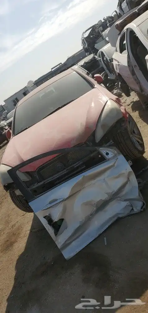 كوبي 2013 2