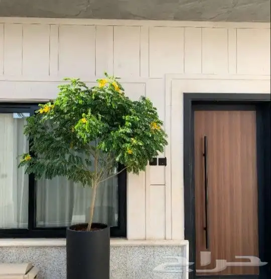 تنسيق حدائق 6