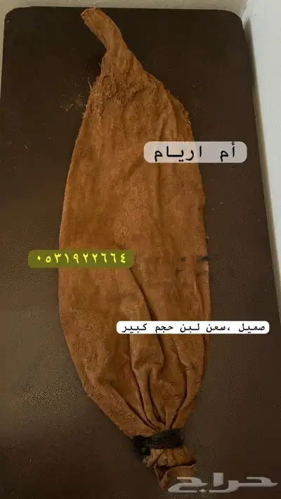 للبيع صميل و قربه و عكه سمن 5