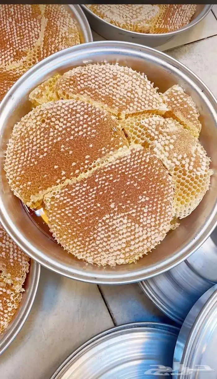 عسل سدر 0