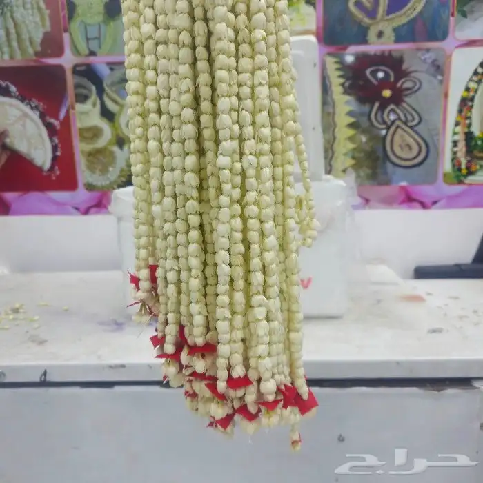 بيع الفل والكادي في الرياض 3