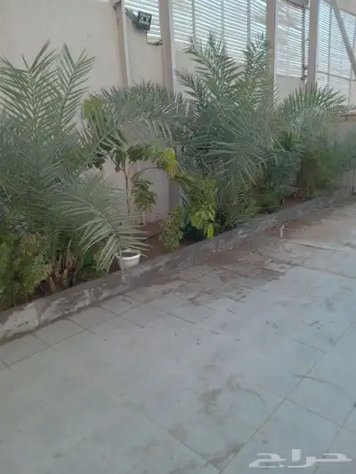 معلم حازم وجميع انواع الزراعه 4