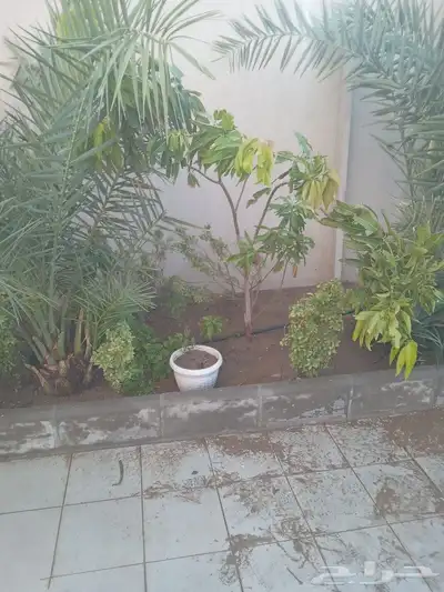 معلم حازم وجميع انواع الزراعه 5