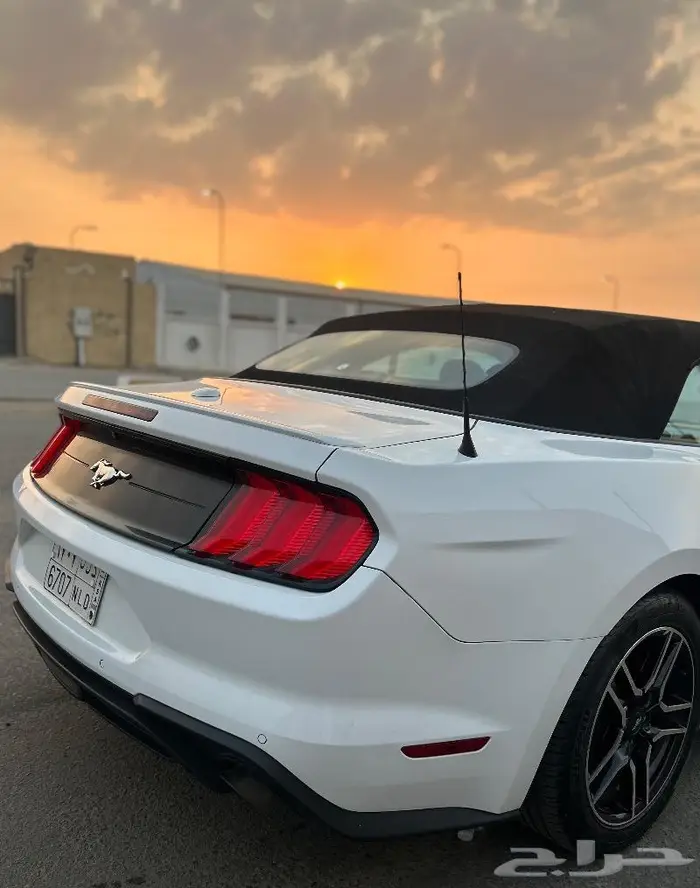 فورد موستنق2019 ايكوبوست 21