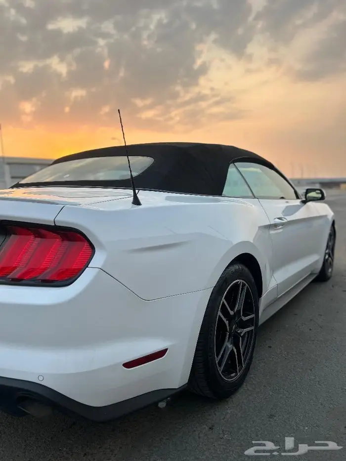 فورد موستنق2019 ايكوبوست 23