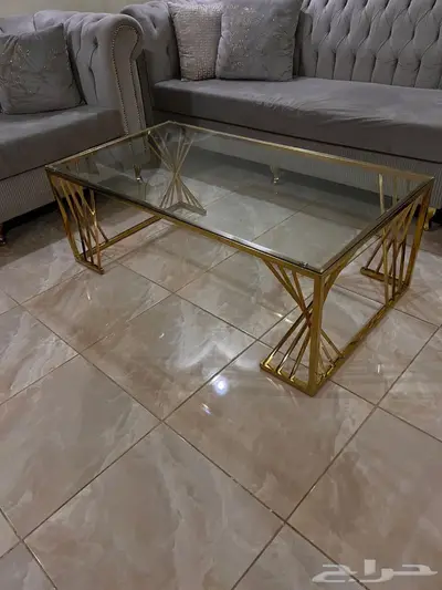 طاولة قهوه كبيره ومدخل استيل 1