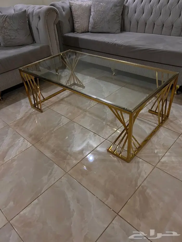 طاولة قهوه كبيره ومدخل استيل 1