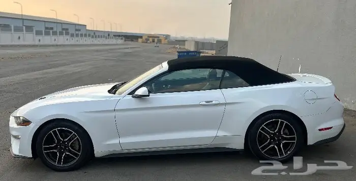 فورد موستنق2019 ايكوبوست 13