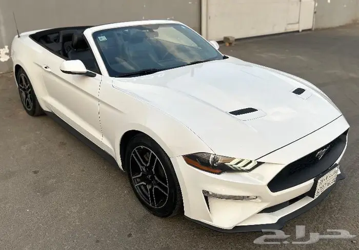 فورد موستنق2019 ايكوبوست 8