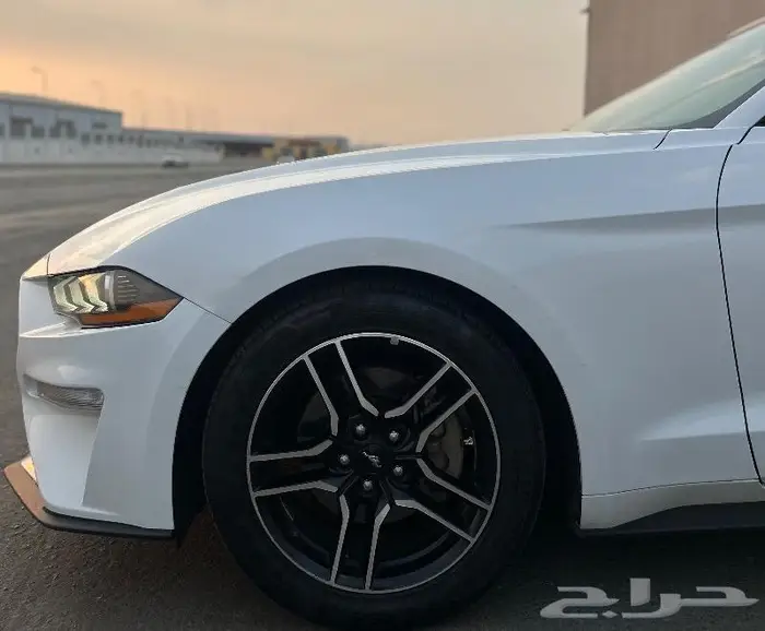 فورد موستنق2019 ايكوبوست 18