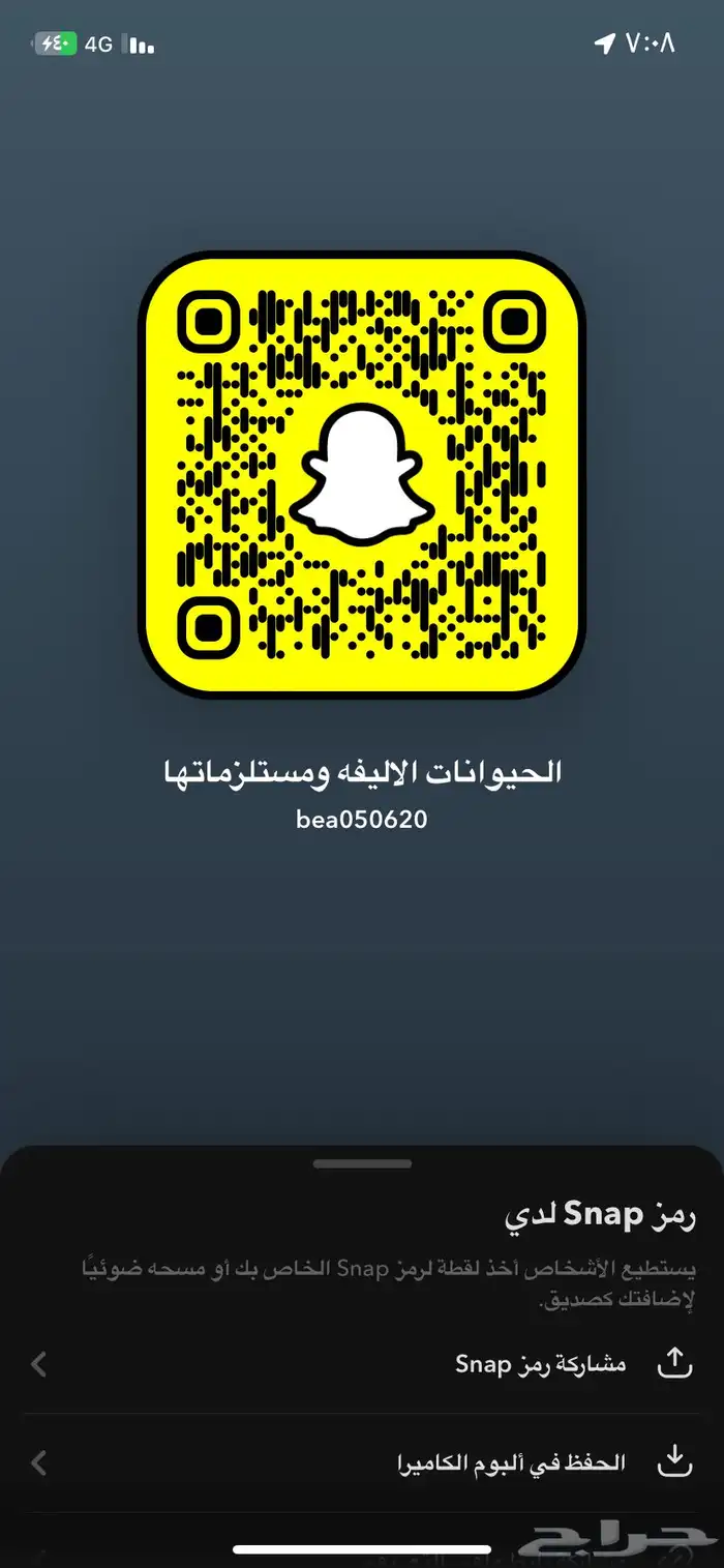 قطط طيور ترويش فندقه سمك مستلزمات حيوانات اليفه 3