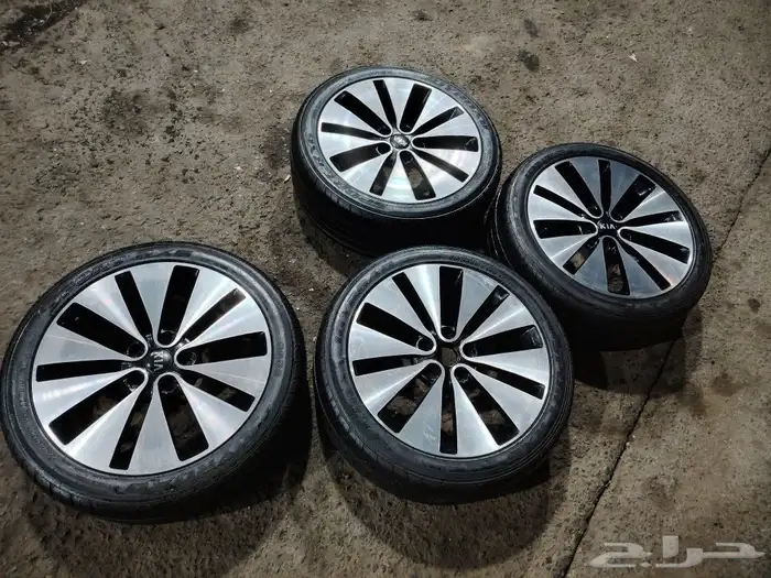 جنوط وكاله مع الكفرات 5