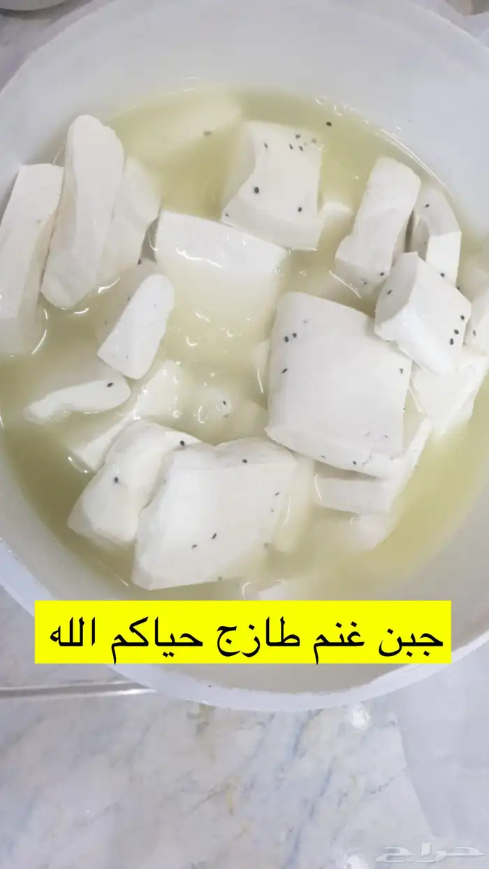 سمن غنم خاثر غنم لبن زبده جبنه مكدوس نوعين قشطه زيت زيتون 35
