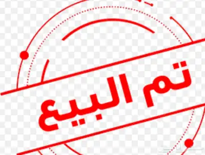4 ديوك نسل أبو ريتاج للبيع 0