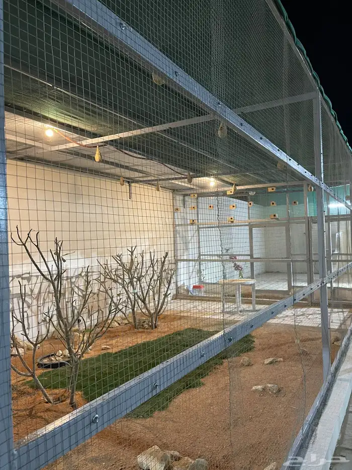 مربط ومنتجع 11