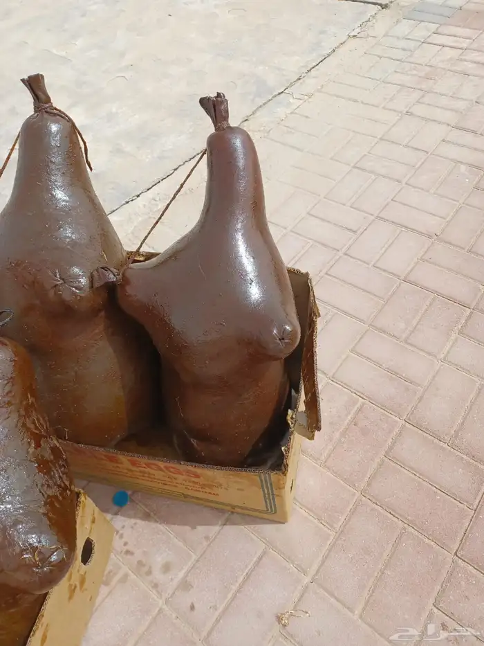 اقط   بقل   مضير   سمن غنم . سمن بقر . لبن طازج غنم 7