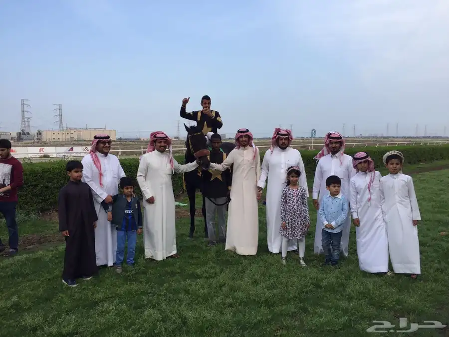خيل سباق 3