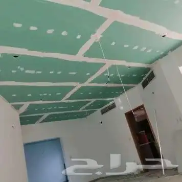 مقاولات عامة دهانات عوازل أسطح وترميم 38