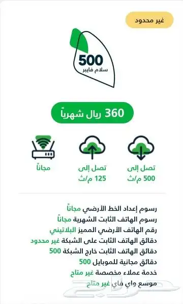 مندوب ألياف بصرية 3