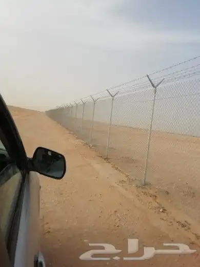 زراعه نخيل عربي واشنطني واعمال الشبوك وتوريدها 7