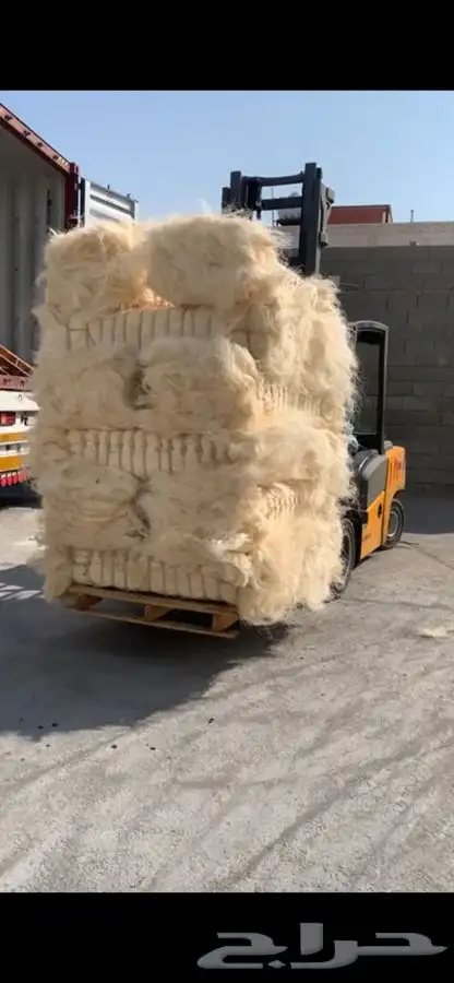 شعر جبس كيني 1