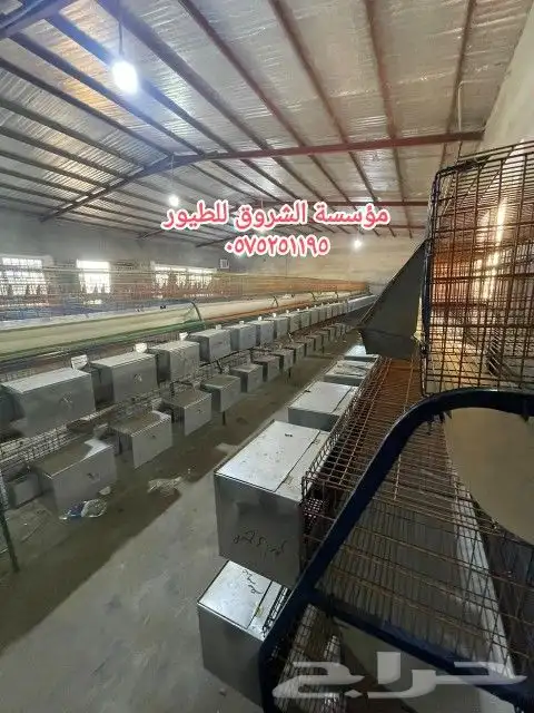 بطاريه ارانب 14 عين 3