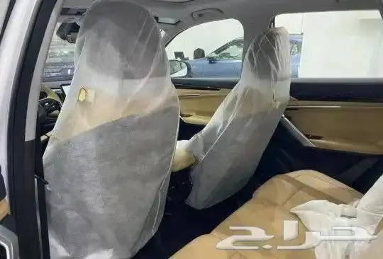 جيلي - ستار راي فل - 2024 4