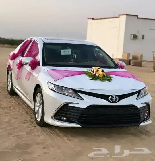 تشريع سيارات عند باب البيت او القصر 2