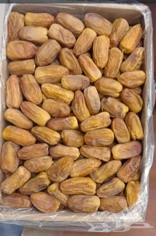 رشوديه جديد لين جديد 3 كيلو 0