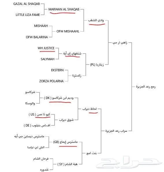 حصان عربي أصيل مميز 2