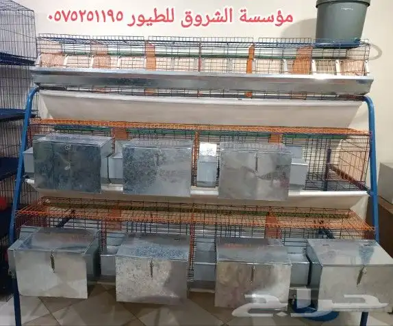 بطاريه ارانب 14 عين 9