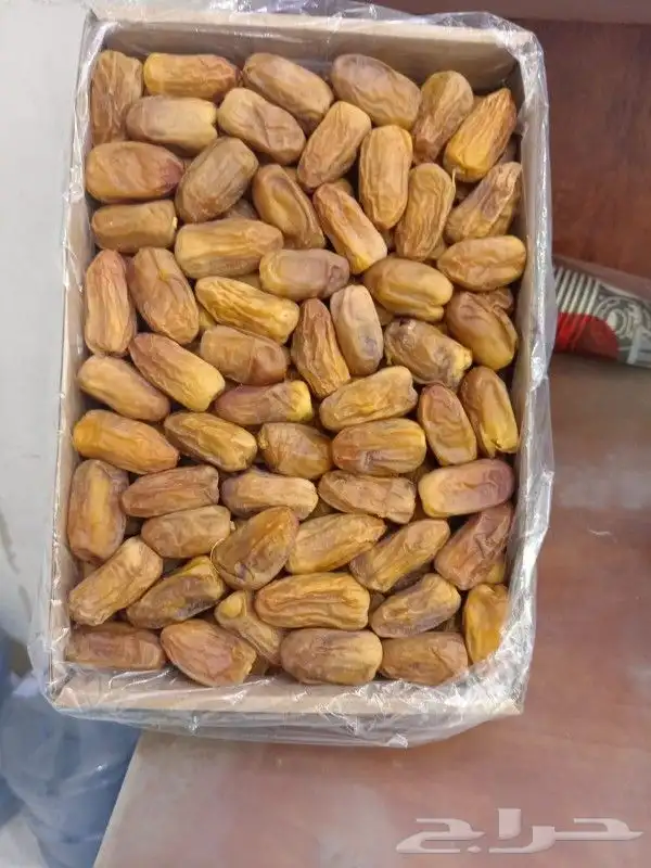 رشوديه جديد لين جديد 3 كيلو 2