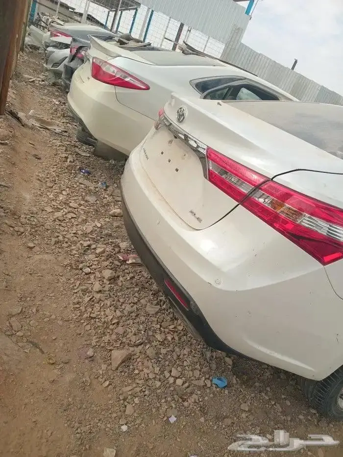 مندوب تشليح 4