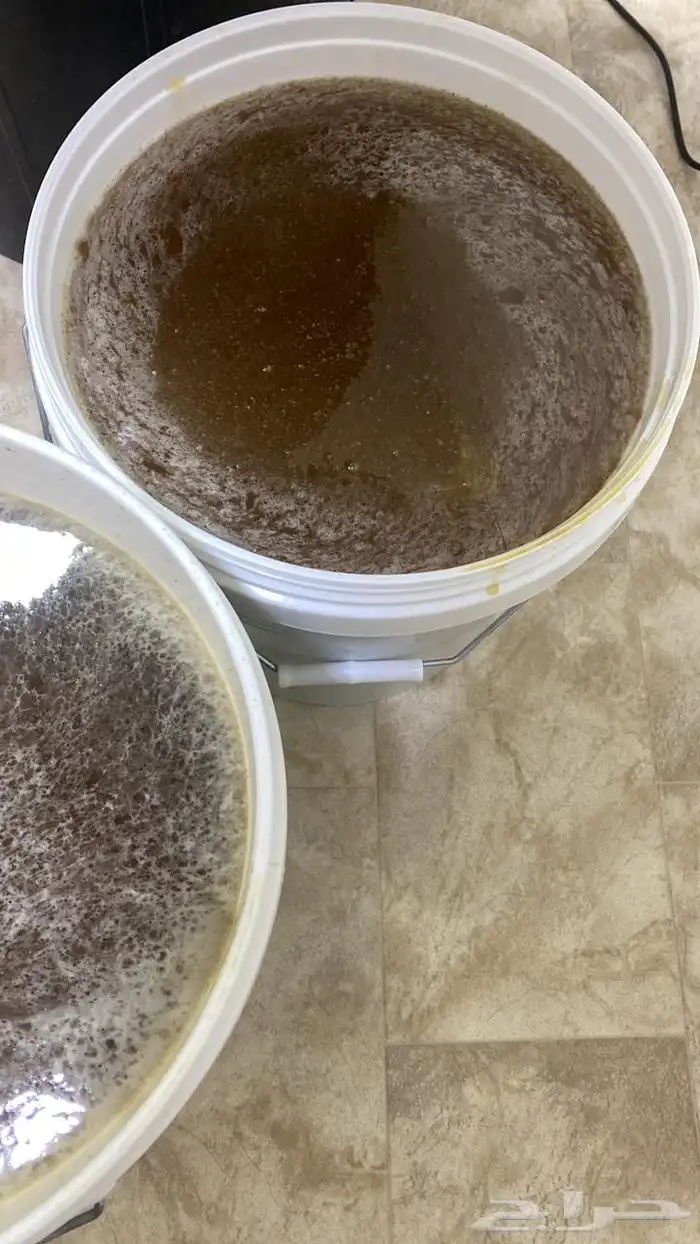عسل سدر وعسل سمره 2