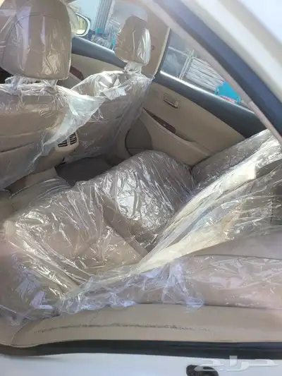 القطيف 4