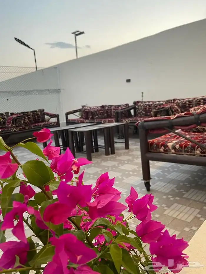 مربط ومنتجع 6