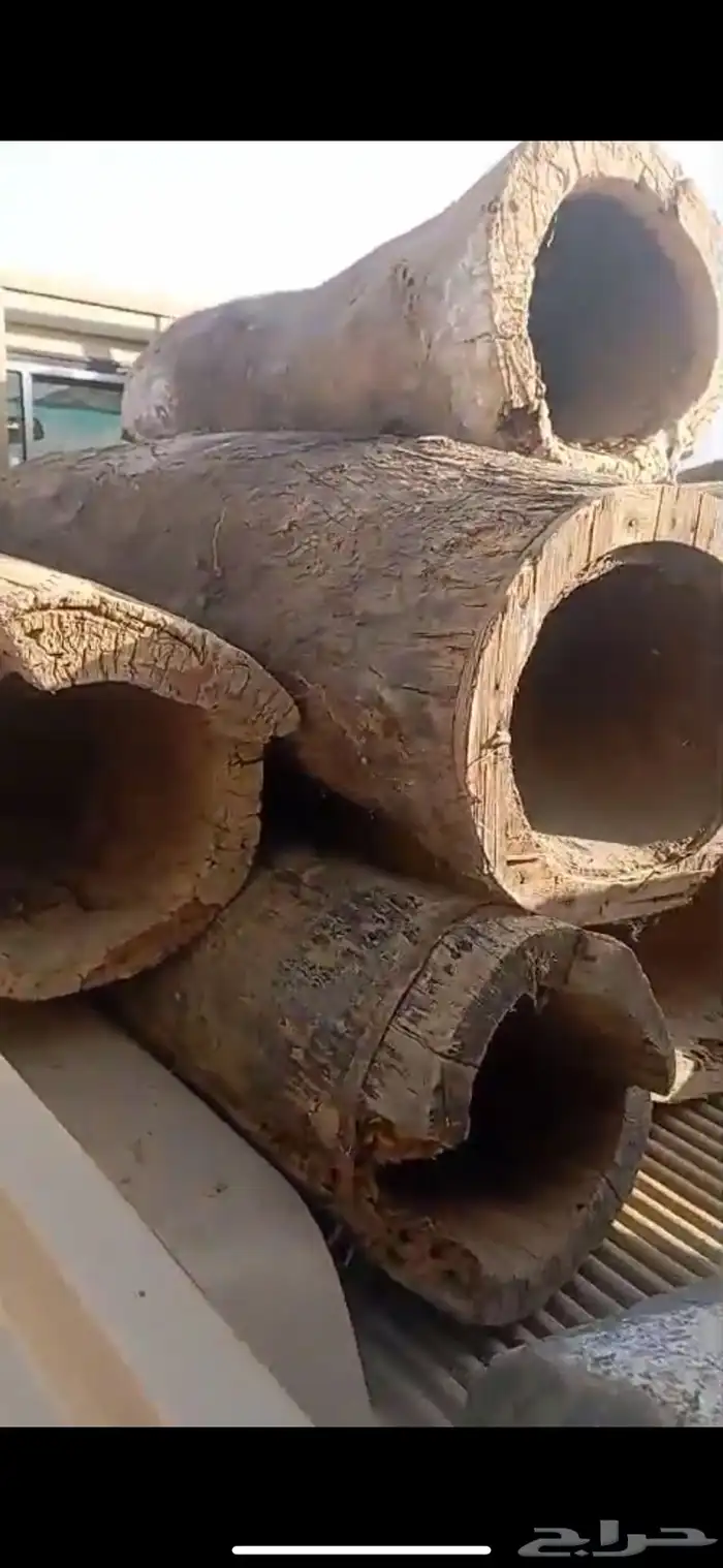 خلايا نحل بلدي 2