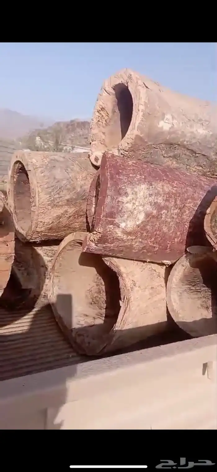 خلايا نحل بلدي 1