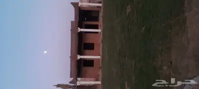 اعمال تراث القديمه بناء وتليوس الأسوار والبيوت 2