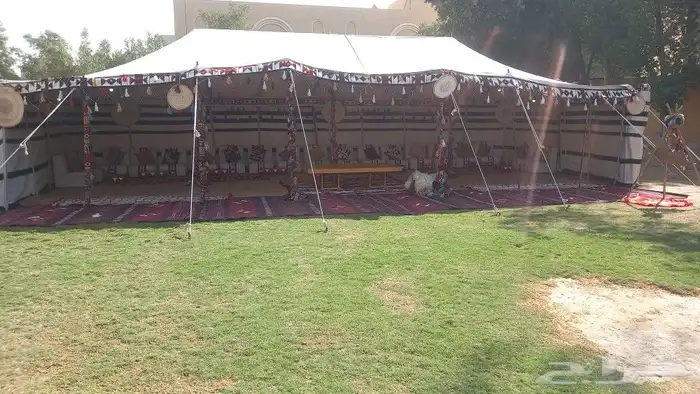 تأجير خيام شعبيه 3