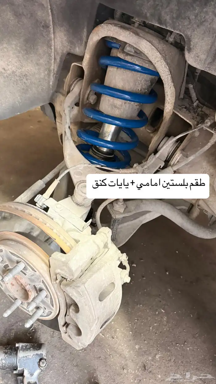 مساعدات بلستين اصلي   100 13