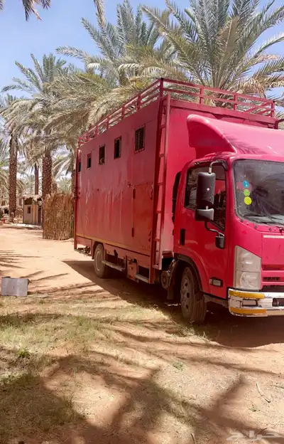 عربة نقل خيل متواجدة بطائف 0